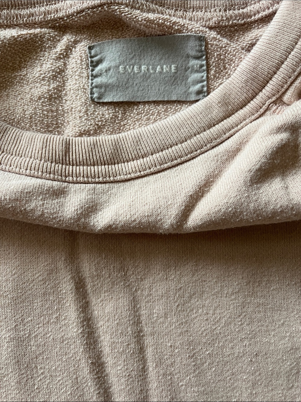 Everlane Neutral Beige Crewneck Sweatshirt